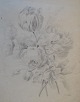 Henne, 
Elisabeth 
Clausine (19. 
Jahrhundert) 
Dänemark: Ein 
Blumenstrauß. 
Blei auf 
Papier. Verso 
...