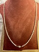 Echte 
Perlenkette mit 
Goldschloss aus 
14 Karat 
Weißgold. L 46 
cm Schöner 
Zustand