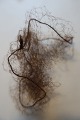Antik Haarnetz
Ein Haarnetz 
aus Haar von 
Persons gemacht
In gutem 
stande
Warennr.: 
B1004