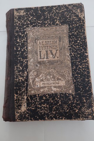 Dyrenes Liv (The life of the animals)Rigt illustreretAf A. BrehmBind IFrem, Gyldendals Boghandel, Nordisk Forlag1907Sideantal: 526IndbundetIn a good condi