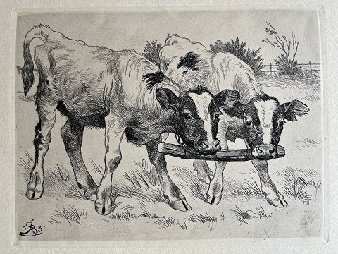 klik for zoom
