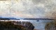 Mols, Niels 
Petersen (1859 
- 1921) 
Dänemark: Meer. 
Öl auf 
Leinwand. 
Unterzeichnet: 
npm 06. 30 x 
...