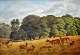 Schovelin, Axel 
(1827 - 1893) 
Dänemark. Tiere 
in Deer Park. 
Öl auf 
Leinwand. 
Signiert 1875. 
26 x ...