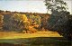 Henrik 
Jespersen (1853 
- 1936): An 
einem Wald - 
Herbst. Öl auf 
Leinwand.
 Signiert: 
Monogramm. 40 
...