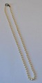 Perlenkette - 
echte Perlen 
mit 
Silberverschluss, 
20. Jahrhundert 
Länge: 50 cm.