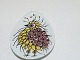 Klicken Sie auf ein Foto, um das große Bild sehen