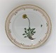 Royal 
Copenhagen 
Flora Danica. 
Mittagessen 
Platte. Entwurf 
# 3550. 
Durchmesser 22 
cm. (1 Wahl). 
...
