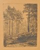 Skovgaard, 
Niels Kristian 
(1858 - 1938) 
D&auml;nemark: 
Wald-Szene. 
Radierung. 
Unterzeichnet. 
NK ...