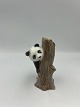 Klicken Sie auf ein Foto, um das große Bild sehen