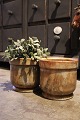 Old flower pots 
in marble in 
nice colors. H: 
17cm. Dia.: 
17.5cm. 
(1 pcs. 
available) ( 2 
stk. ...