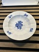 Royal 
Copenhagen 
Blaue Blume, 
tiefer Teller 
eckig Nr. ...