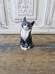 Klicken Sie 
auf ein 
Foto, um 
das große 
Bild sehen