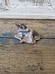 Klicken Sie 
auf ein 
Foto, um 
das große 
Bild sehen