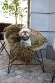 Klicken Sie 
auf ein 
Foto, um 
das große 
Bild sehen
