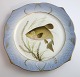 Royal 
Copenhagen. 
Angelgestell 
Nr. 19. Modell 
3002. 
Durchmesser 
22,5 cm. 
Cyprinus tinca. 
...