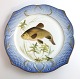 Royal 
Copenhagen. 
Angelgestell 
Nr. 19. Modell 
3002. 
Durchmesser 
22,5 cm. 
Cyprinus tinca. 
...