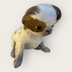 Royal Copenhagen
Pekingese-Welpe
# 1453/448
650 DKK