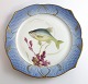 Royal 
Copenhagen. 
Angelgestell 
Nr. 19. Modell 
3002. 
Durchmesser 
22,5 cm. 
Leuciscus 
cærulens. ...
