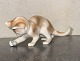 Klicken Sie 
auf ein 
Foto, um 
das große 
Bild sehen
