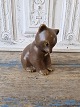 Klicken Sie 
auf ein 
Foto, um 
das große 
Bild sehen