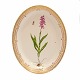 Royal 
Copenhagen 
Flora Danica 
grosse ovale 
Platte #3518. 
...