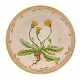 Royal 
Copenhagen 
runde Schale 
#3505. 
"Leontodon 
hirtum ...