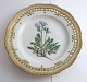 Royal 
Copenhagen. 
Flora Danica 
Teller m. 
durchbrochener 
Kante. 
Durchmesser 25 
cm. Modell 
3553. ...