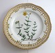Royal Copenhagen. Flora Danica plate w. open-work border. Diameter 25 cm. Model 3553. (1 ...