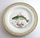 Royal 
Kopenhagen. 
Fauna Danica. 
Fischplatte  
Essteller. 
Modell # 19 - 
3549. 
Durchmesser 25 
cm. ...