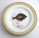 Royal 
Kopenhagen. 
Fauna Danica. 
Fischplatte  
Essteller. 
Modell # 19 - 
3549. 
Durchmesser 25 
cm. ...