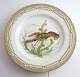 Royal 
Kopenhagen. 
Fauna Danica. 
Fischplatte  
Essteller. 
Modell # 19 - 
3549. 
Durchmesser 25 
cm. ...