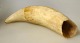 Grönländischer 
Narwalzahn, 19. 
Jahrhundert. 
Länge: 12 cm.