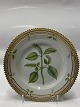 Royal Copenhagen Flora Danica, cake plate.Decoration number 20/3551.Based on the factory ...
