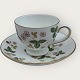 Wedgwood, Walderdbeere / Wild Strawberry, Tasse mit Untertasse, Tassenmaße: Höhe 6,5 cm, ...