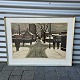 Klicken Sie auf ein Foto, um das große Bild sehen