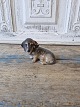 Klicken Sie auf ein Foto, um das große Bild sehen