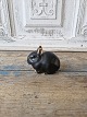 Klicken Sie auf ein Foto, um das große Bild sehen