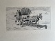 Klicken Sie auf ein Foto, um das große Bild sehen