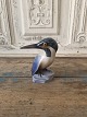 Klicken Sie auf ein Foto, um das große Bild sehen