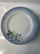 Klicken Sie auf ein Foto, um das große Bild sehen