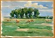 Svendsen, Albert (1889 - 1959) Dänemark: Pferde auf ...