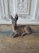 Klicken Sie auf ein Foto, um das große Bild sehen