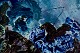 click to zoom